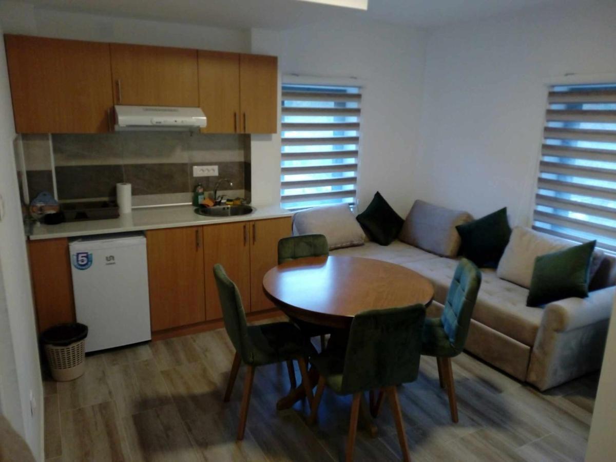 Bed and Breakfast Std Cvetkovic Crni Vrh Экстерьер фото